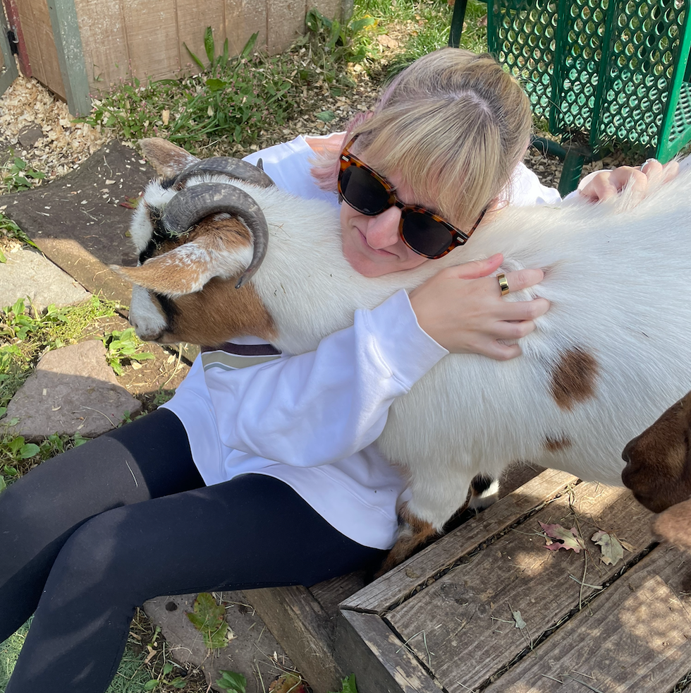person interacting with a goat in a farm setting