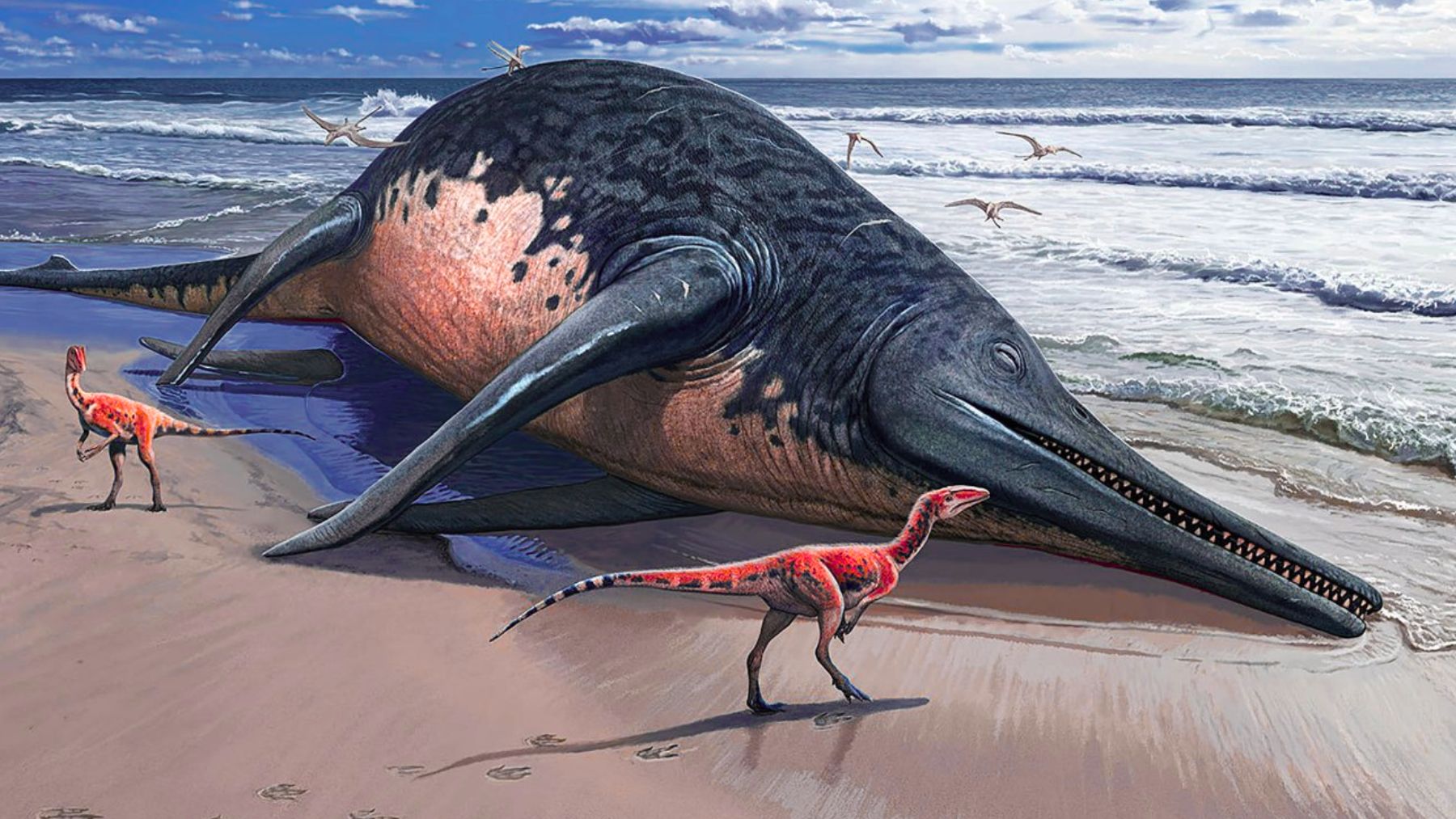 Artist’s impression of a blue-whale-size sea monster (giant ichthyosaur) stranded on a beach.