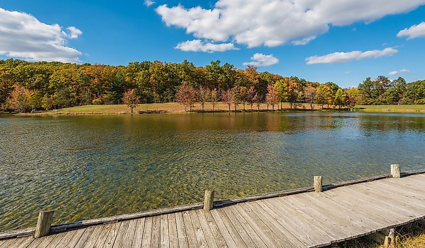 Early autumn color at Greenbrier Lake, at Greenbrier State Park in Maryland.