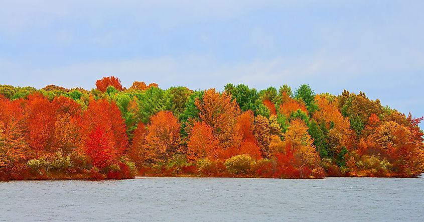 Autumn leaves at Sleepy Hollow State Park in Michigan