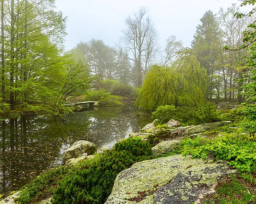 A section of Stonecrop Gardens in Cold Spring, New York. 