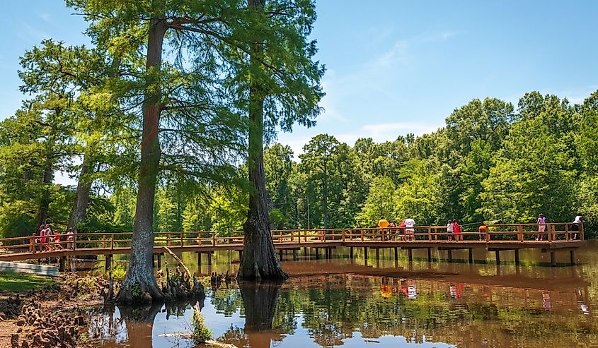 Leroy Percy State Park, Mississippi's Oldest State Park