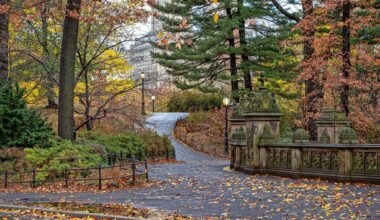 Advocates push Mamdani to quickly move on pledge for NYC parks budget boost