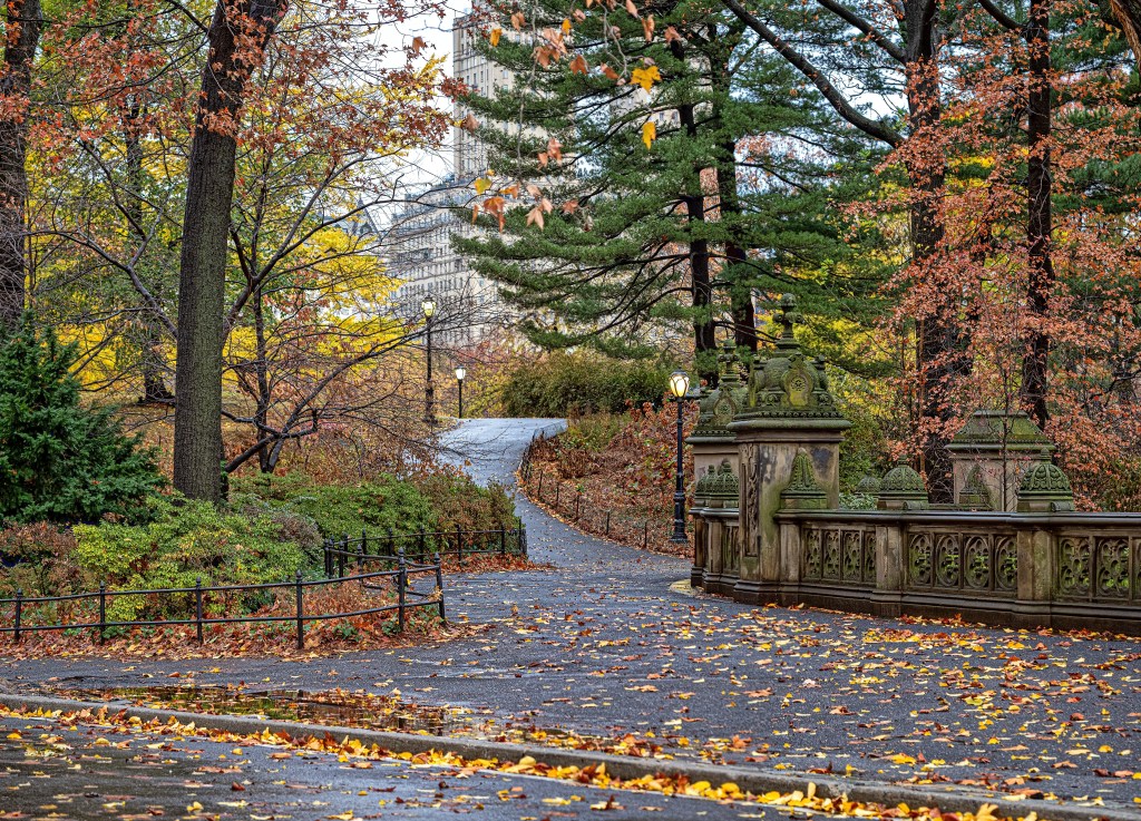 Advocates push Mamdani to quickly move on pledge for NYC parks budget boost