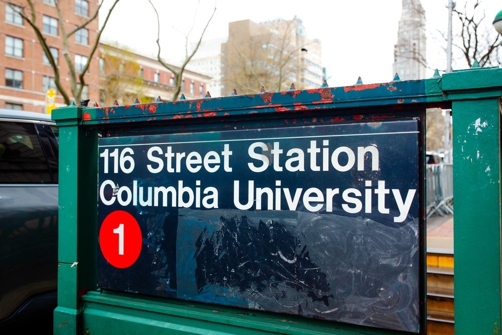 Woman wearing 'F--- Antisemitism' hat punched by man on NYC subway