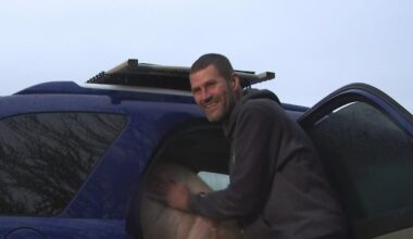 Oregon man living in car with pig, dog gets fresh start in Chicago