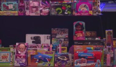 100 Black Men of Chicago hold annual toy drive for kids