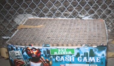 South LA teen killed in fireworks explosion identified