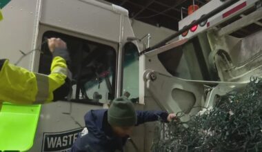 Where to recycle unwanted holiday trees, lights in Chicago