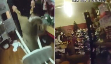 Cops rescue deer that went buck wild in Christmas store: video