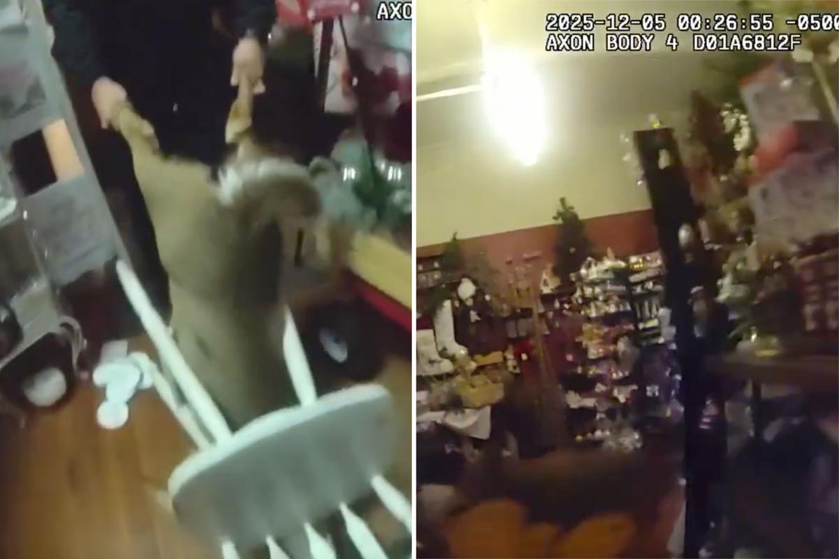 Cops rescue deer that went buck wild in Christmas store: video