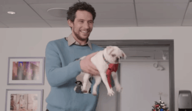 Llamas & Puppies & Penguins, Oh My!