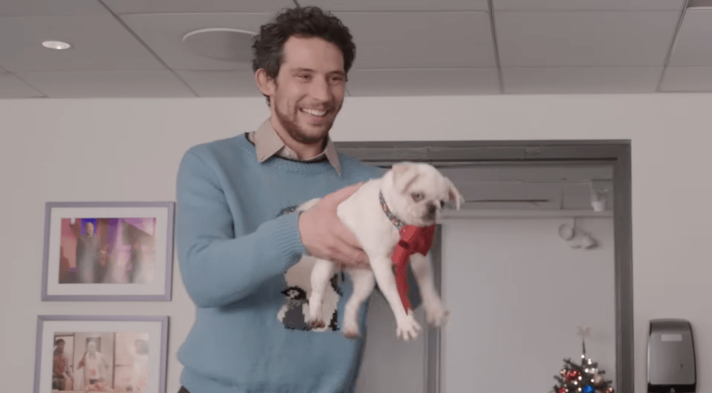 Llamas & Puppies & Penguins, Oh My!