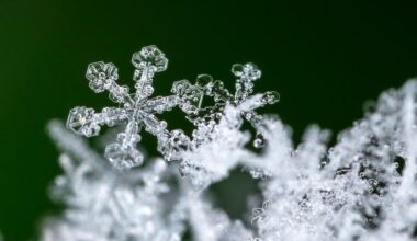 Snow & Ice Removal: See Marple, Newtown Ordinances Ahead Of Storm