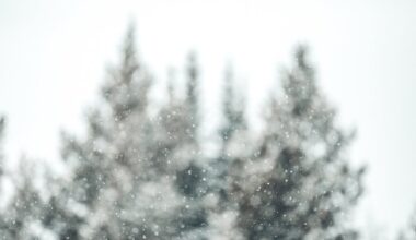 When is it going to snow in New York City, New Jersey?