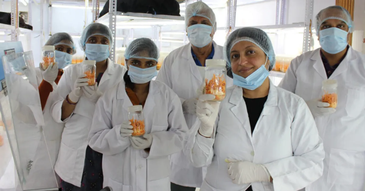 Suman Sukhija Orange Herb