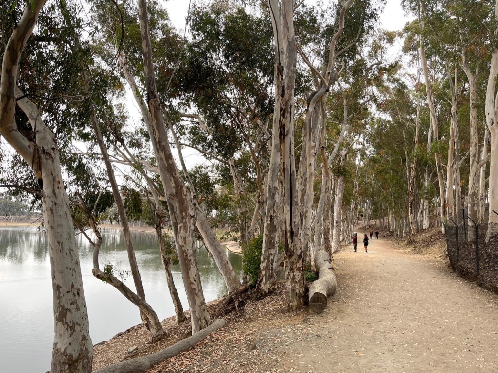 35 hikes in San Diego – San Diego Union-Tribune