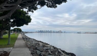 A bayside walk and a look ahead to 2026 – San Diego Union-Tribune