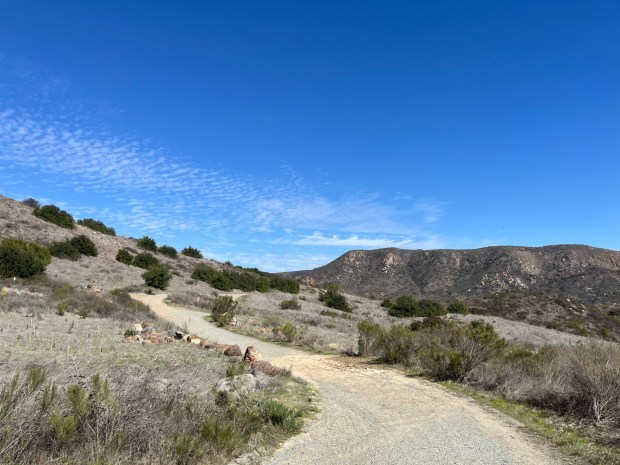 The view facing northeast, with the South Fortuna peak in the distance. (Maura Fox / The San Diego Union-Tribune)