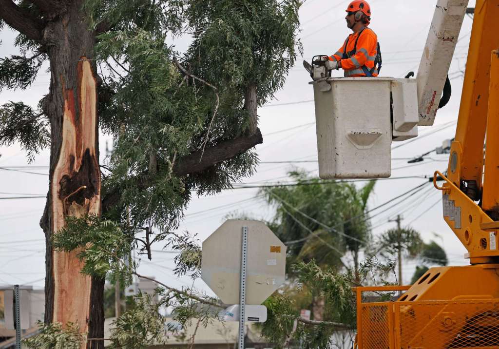 Authorities identify City Heights man killed by falling tree