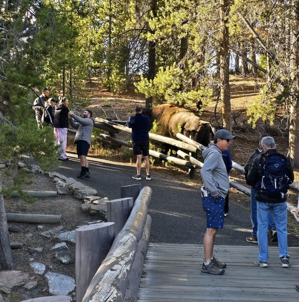 One Redditor shared an egregious example of tourists' underestimating the risks of the wild animal.