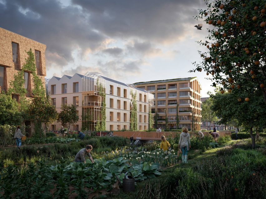 Wooden housing in the Netherlands