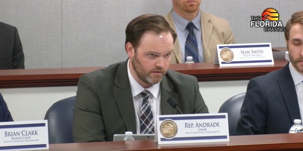 Rep. Alex Andrade led the legislature's critical focus on Hope Florida. He is shown at the House Health Care Budget subcommittee in Tallahassee on Thursday, April 24, 2025. (The Florida Channel)