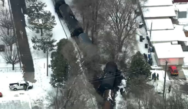 Freight train derails on Chicago’s Far South Side – NBC Chicago