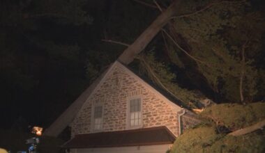 Damaging winds pummel Philadelphia, South Jersey, toppling trees onto homes and vehicles