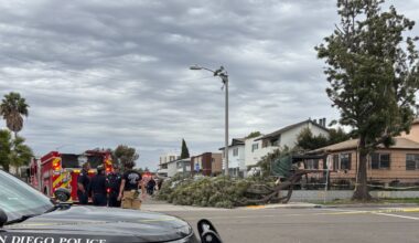 City Heights man killed by falling tree limb on Christmas Eve – NBC 7 San Diego