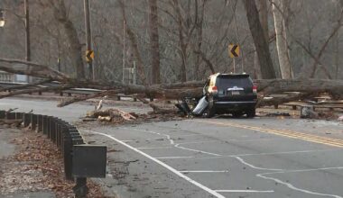 2 rescued after tree falls on SUV in Roxborough, Philadelphia fire dispatch says
