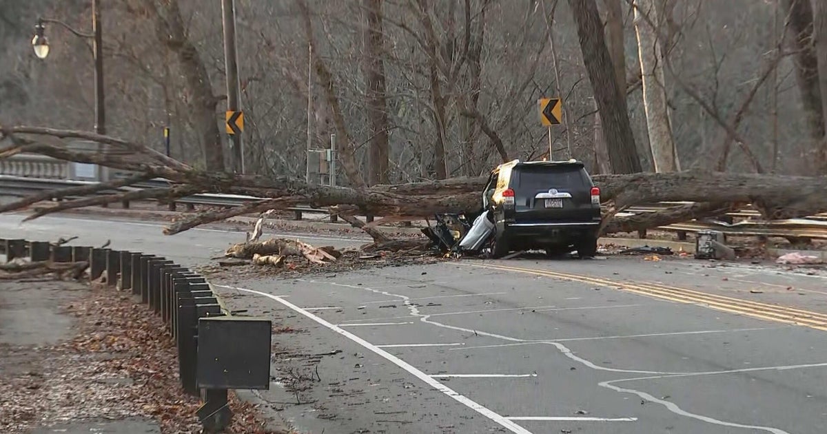 2 rescued after tree falls on SUV in Roxborough, Philadelphia fire dispatch says