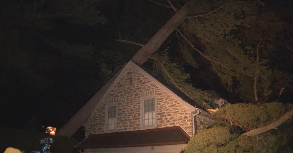 Damaging winds pummel Philadelphia, South Jersey, toppling trees onto homes and vehicles