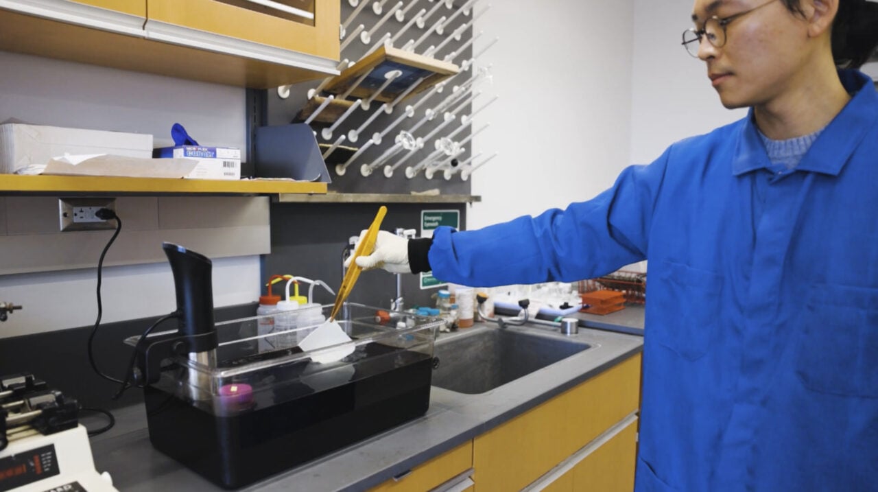 Ultrablack Cornell Wool Dyeing