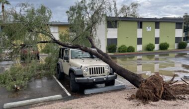 Tempe's community disaster preparedness program had its first big test in 2025