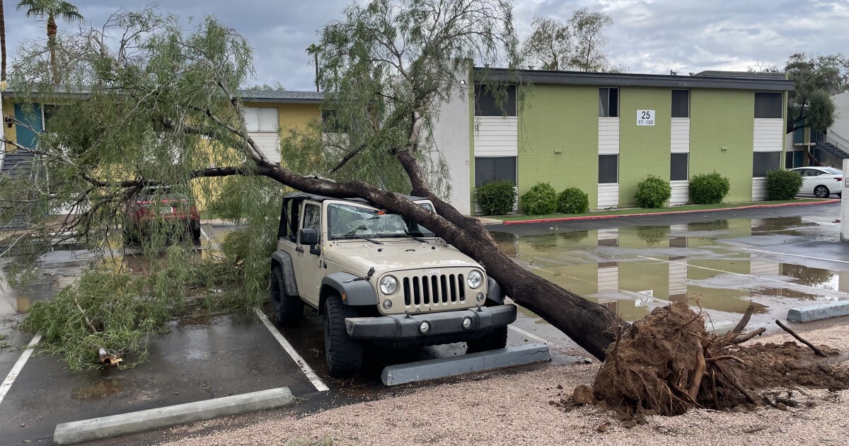 Tempe's community disaster preparedness program had its first big test in 2025