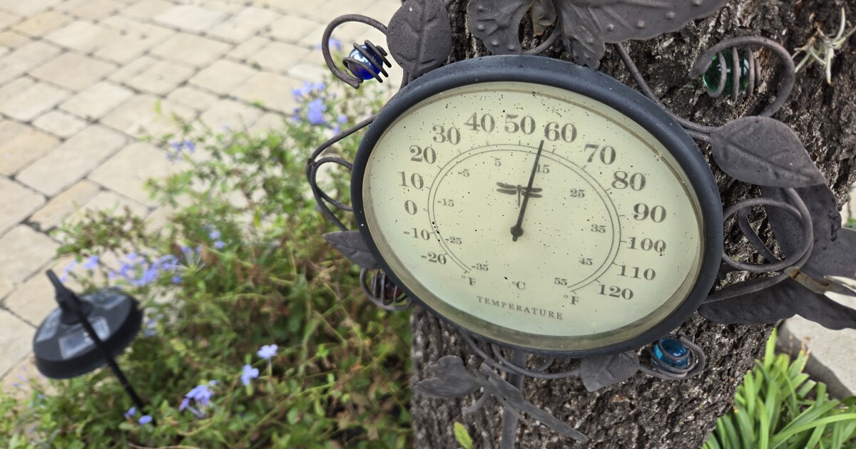 Widespread 30s expected inside San Antonio City limits Tuesday morning