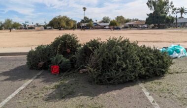 Throw away real trees quickly after Christmas to avoid blazes, Phoenix Fire says