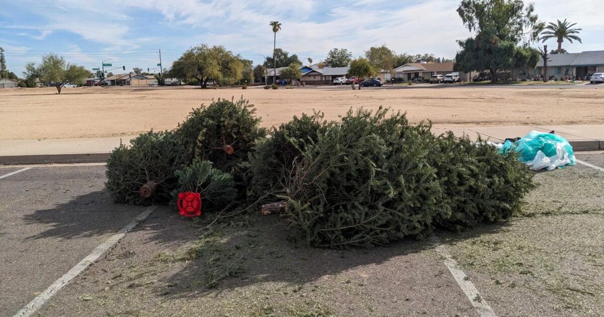 Throw away real trees quickly after Christmas to avoid blazes, Phoenix Fire says