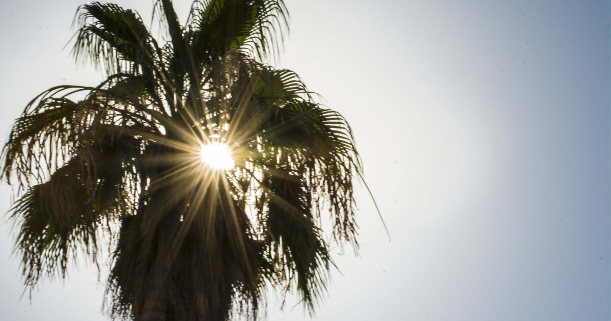 This month is on track to be Phoenix's hottest December ever