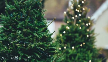 Ready to toss your Christmas Tree? Here’s how to recycle it in LA and OC