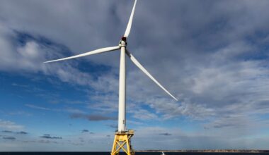 Federal judge throws out Trump order blocking development of wind energy