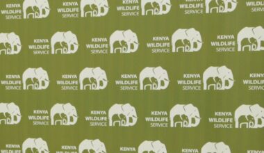 Kenyans protest after roaming elephants kill 4 people in a week