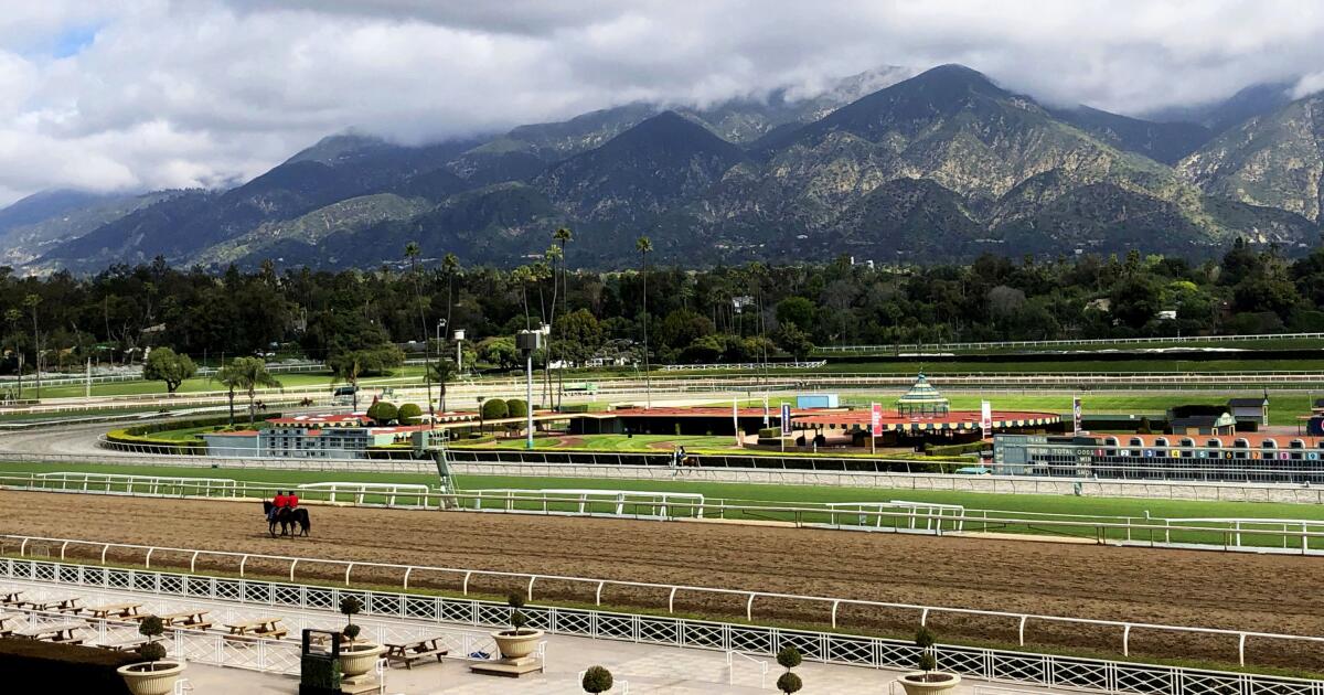 Santa Anita opening day again delayed, but there are plenty of storylines to follow