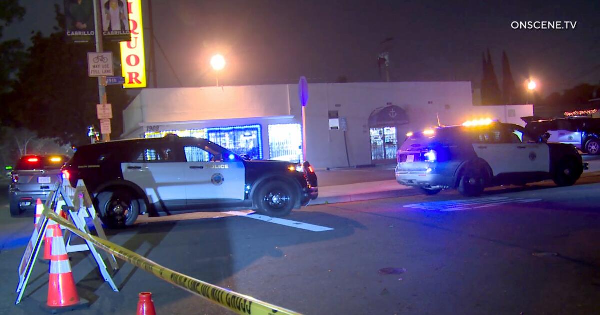 Long Beach police say shootings were domestic dispute 'murder-suicide'