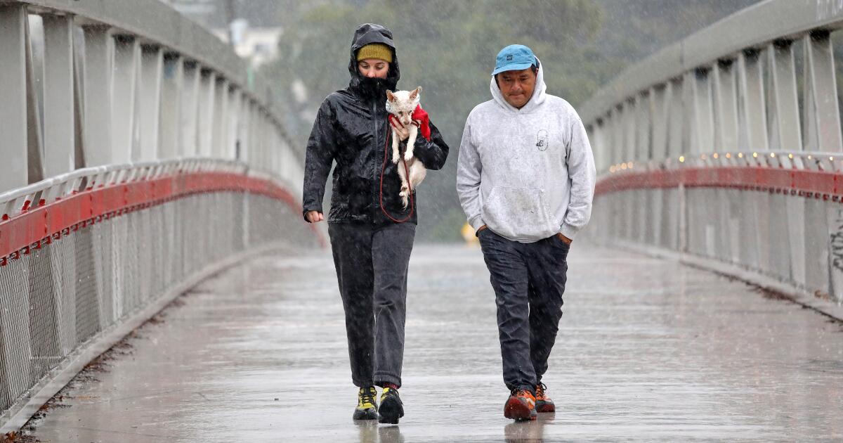 L.A. wasn't dreaming of a wet Christmas, but that's what we got. And it can't be returned