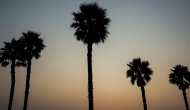 Manhattan Beach Middle School students reportedly involved in Hermosa assault