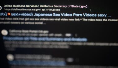 Porn advertisers target California secretary of state's website