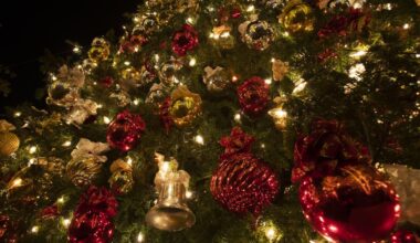 Eastside Santa Barbara holiday parade canceled over ICE raid fears