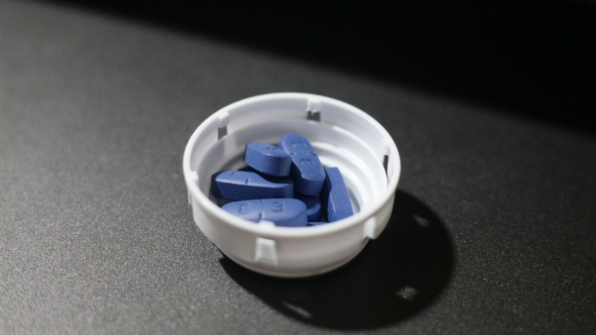 Researchers Tested Herpes Drugs for Alzheimer’s. It Backfired